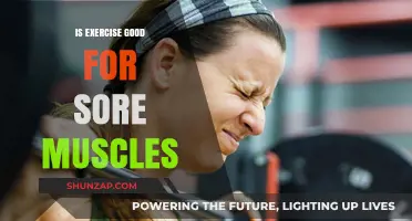 Exercise for Sore Muscles: Healing or Harmful? Expert Insights