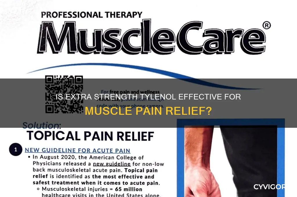 is extra strength tylenol good for muscle pain