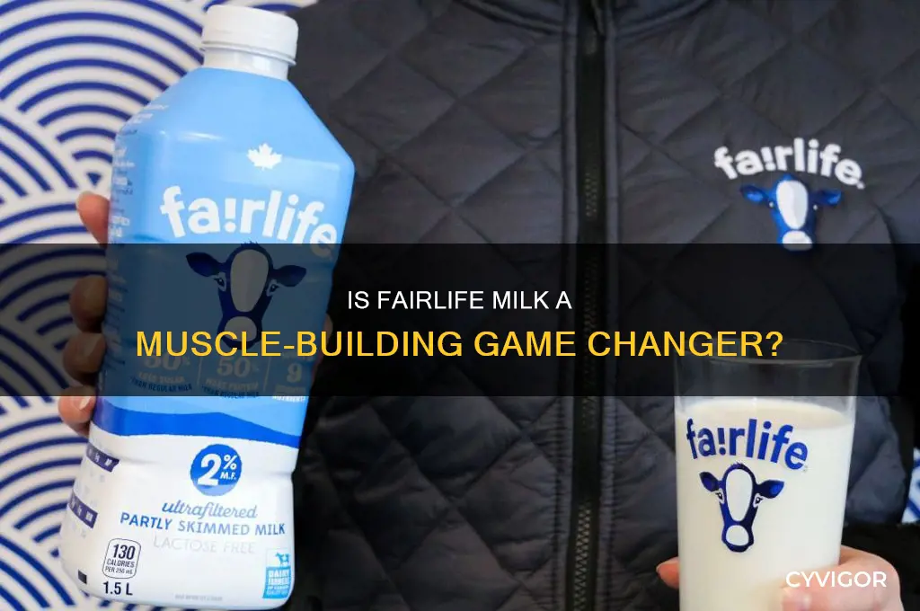 is fairlife good for muscle gain