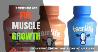 Fairlife Milk for Muscle Growth: Benefits, Nutrition, and Effectiveness
