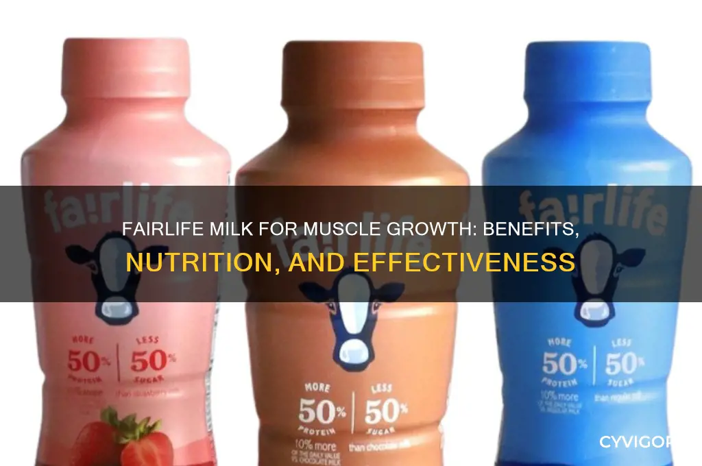 is fairlife milk good for muscle growth