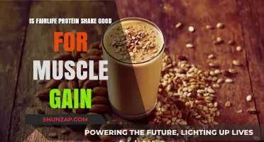 Is Fairlife Protein Shake Effective for Muscle Gain? A Review