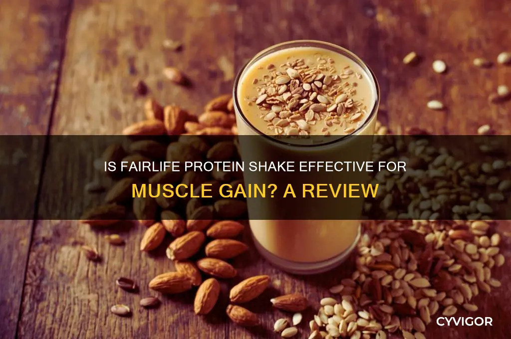 is fairlife protein shake good for muscle gain