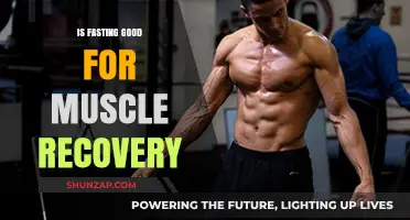 Fasting and Muscle Recovery: Benefits, Risks, and Optimal Strategies