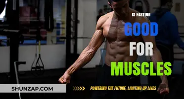 Fasting and Muscle Health: Benefits, Risks, and Optimal Strategies