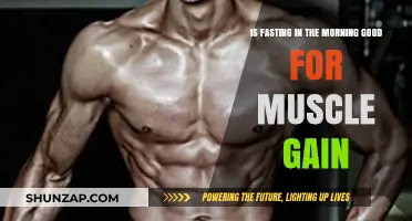 Morning Fasting for Muscle Gain: Benefits or Hindrance?