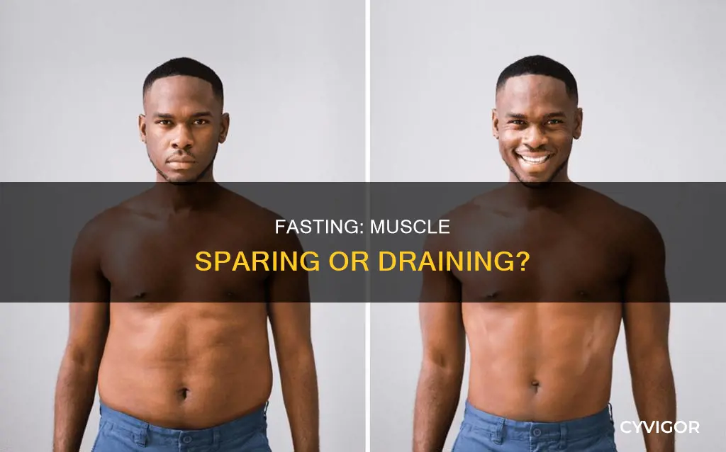 is fasting muscle sparing