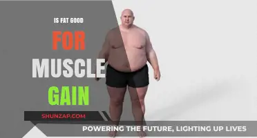 Is Fat Your Secret Weapon for Muscle Gain?