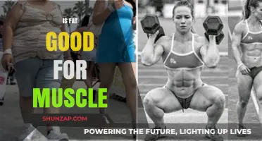 Is Fat Good for Muscle? Unlocking the Truth for Optimal Gains