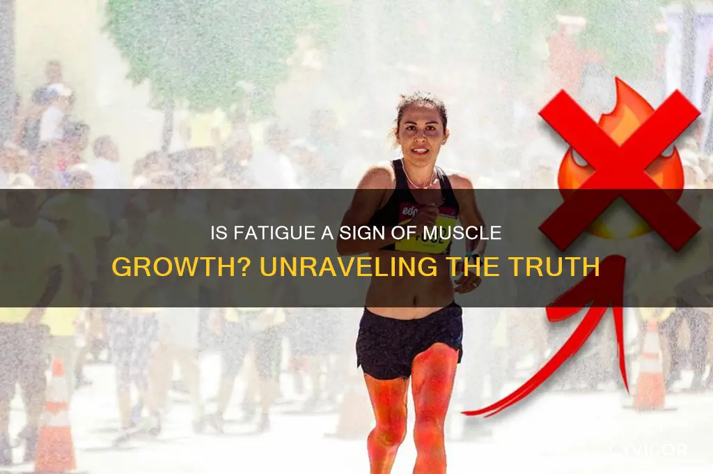 is fatigue a sign of gaining muscles