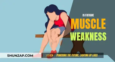 Fatigue and Muscle Weakness: What's the Connection?