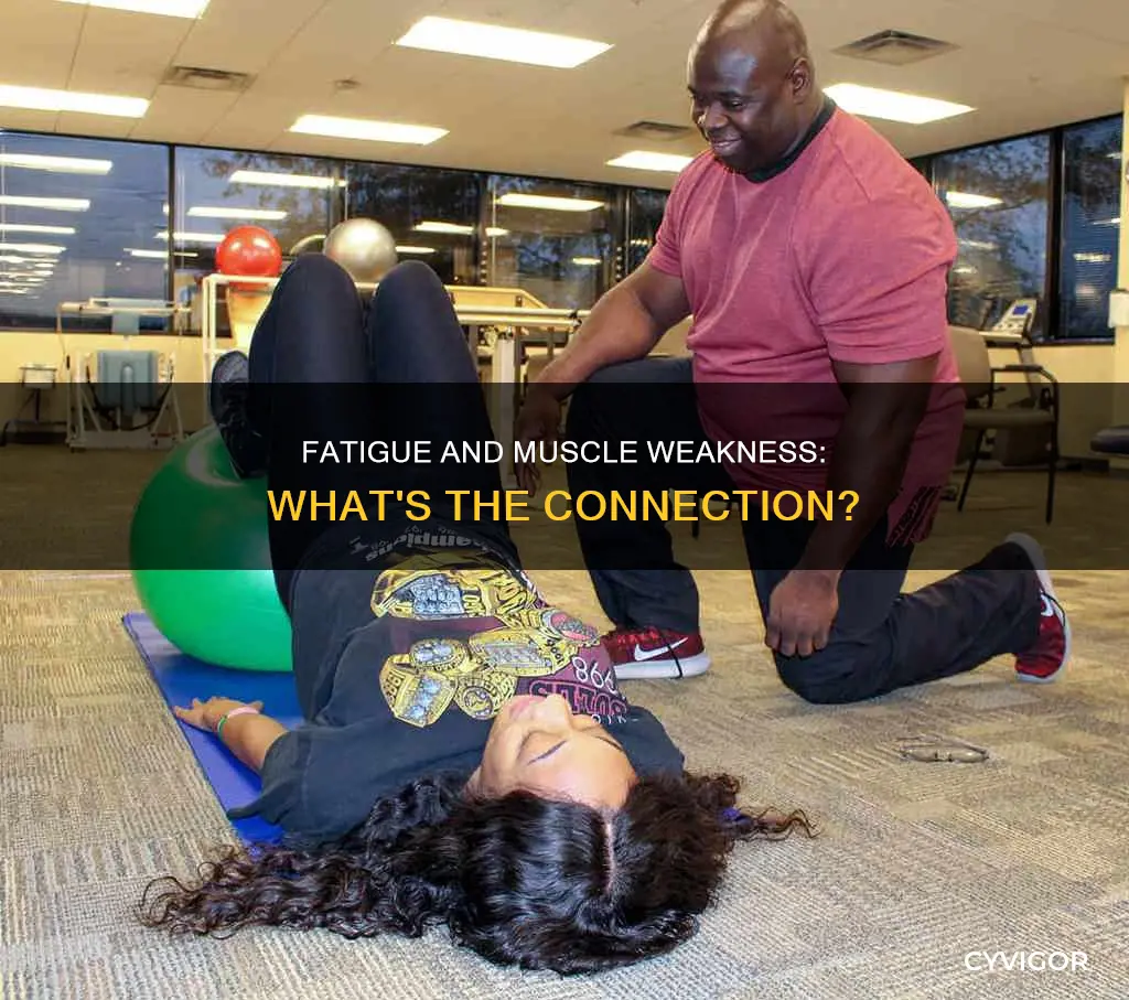 is fatigue muscle weakness