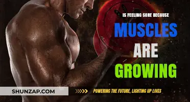 Muscle Soreness and Growth: Debunking the Myth of Pain Equals Gain
