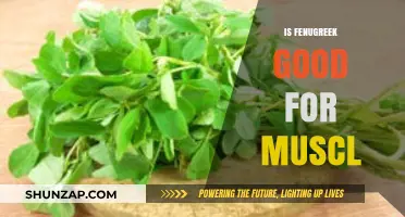 Fenugreek Benefits for Muscle Growth: Fact or Fiction?