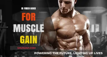 Fiber's Role in Muscle Gain: Boosting Growth or Hindering Results?