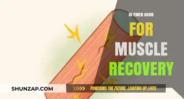 Fiber's Role in Muscle Recovery: Benefits and Best Sources