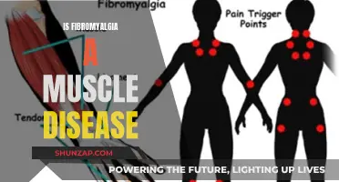 Fibromyalgia: Understanding the Chronic Pain and Muscle Disorder