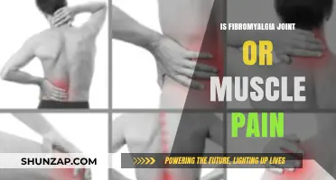Fibromyalgia Unveiled: Understanding Joint vs. Muscle Pain in Chronic Conditions