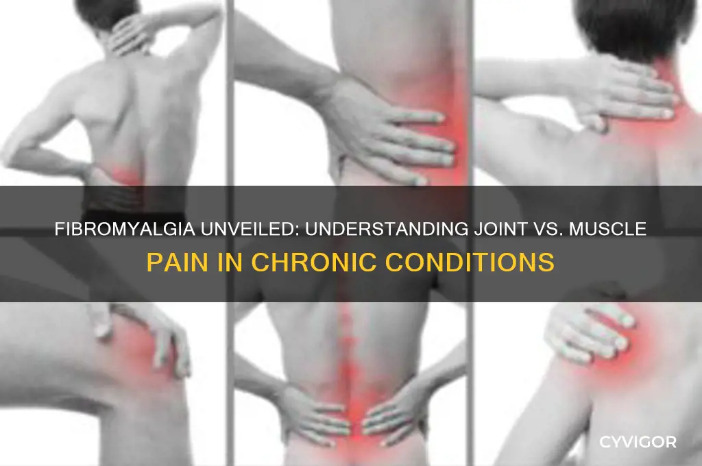 is fibromyalgia joint or muscle pain