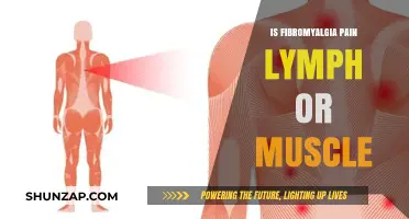 Fibromyalgia Pain: Lymphatic or Muscular? Unraveling the Mystery