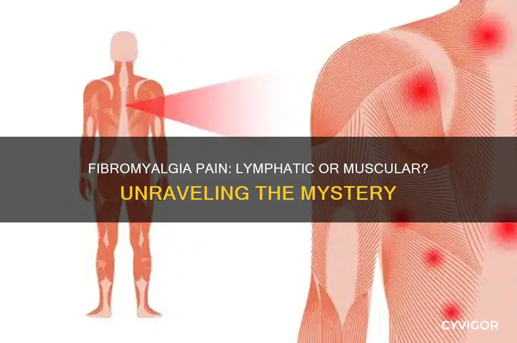 is fibromyalgia pain lymph or muscle