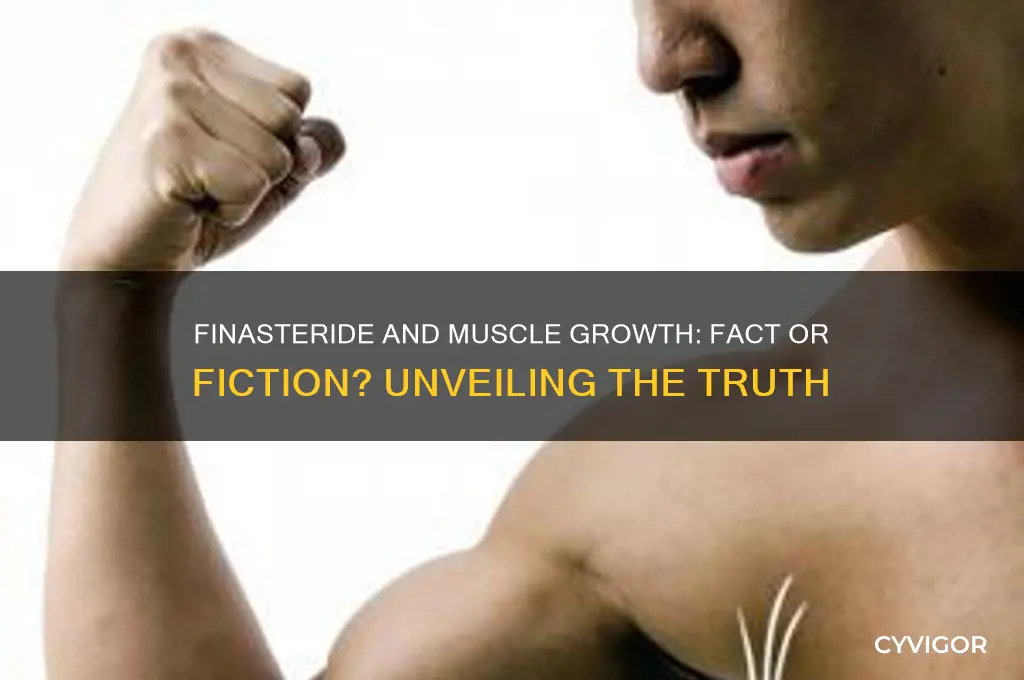 is finasteride good for muscle growth