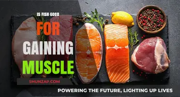 Fish and Muscle Gain: Unlocking Protein Power for Strength Building