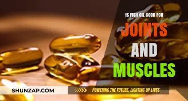 Fish Oil Benefits: Enhancing Joint Health and Muscle Recovery Naturally