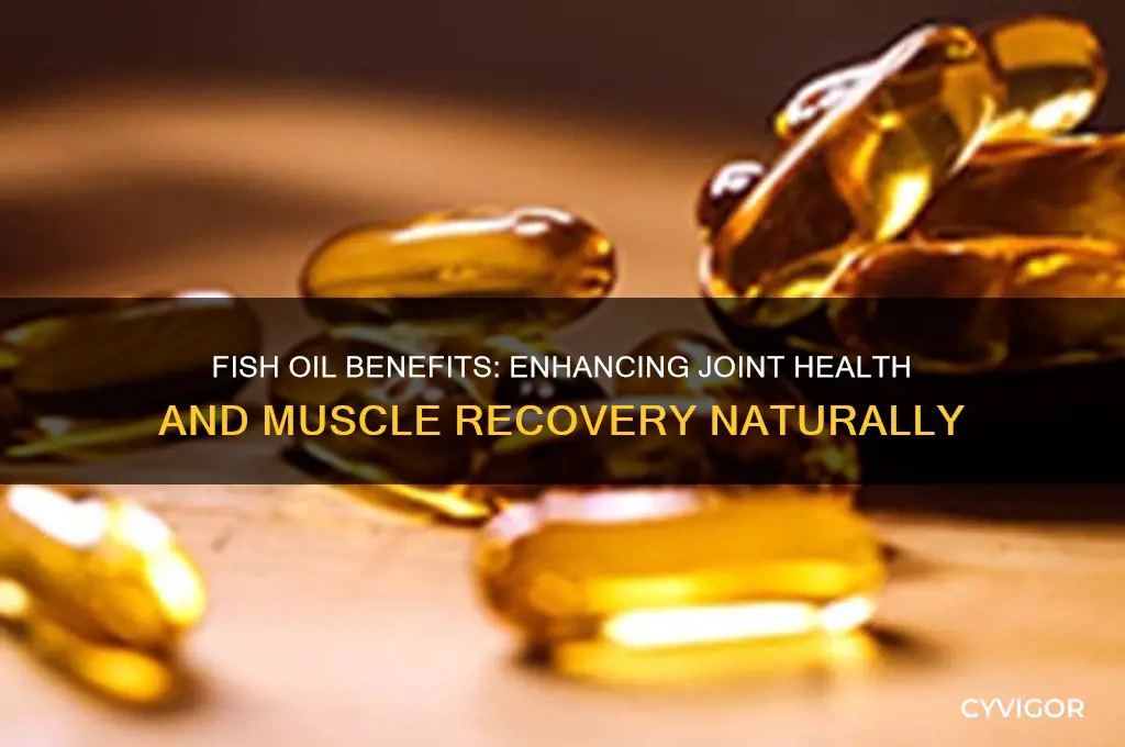is fish oil good for joints and muscles