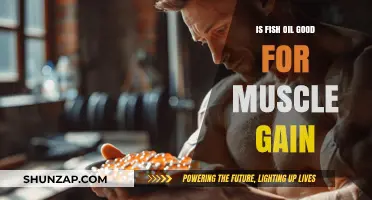 Fish Oil and Muscle Gain: Unlocking Strength and Recovery Benefits