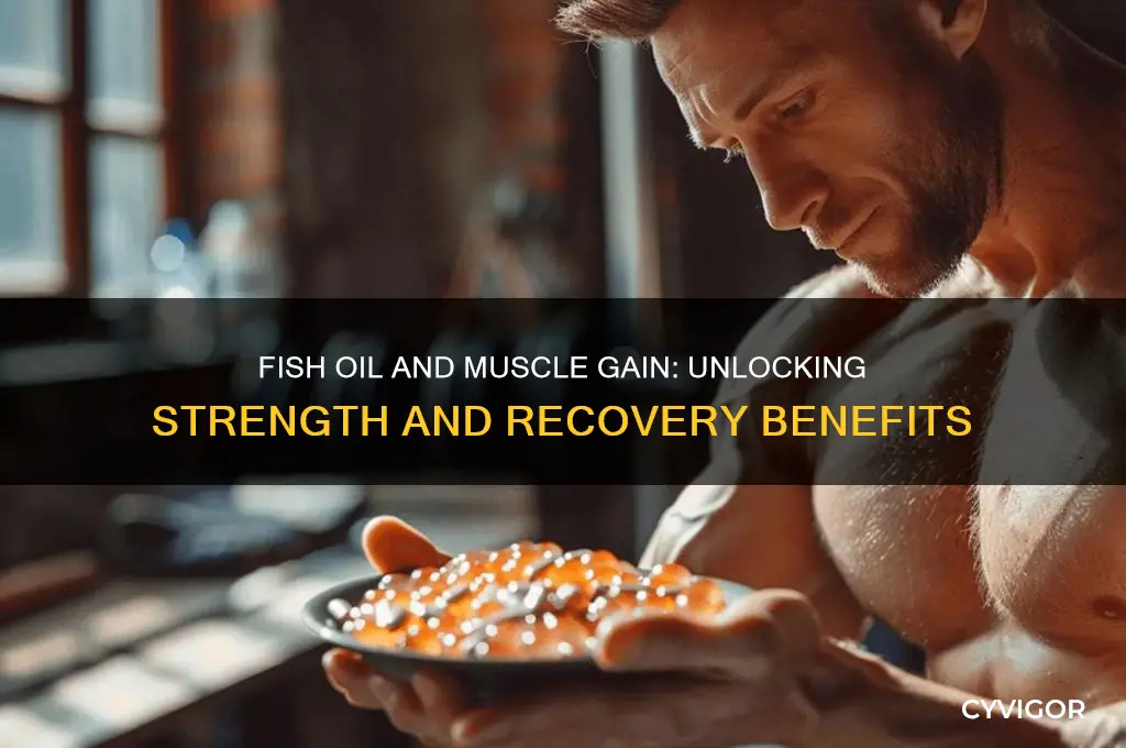 is fish oil good for muscle gain