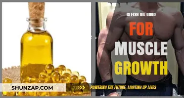 Fish Oil and Muscle Growth: Benefits, Science, and Best Practices