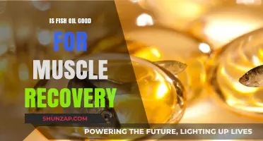 Fish Oil and Muscle Recovery: Benefits, Science, and Best Practices