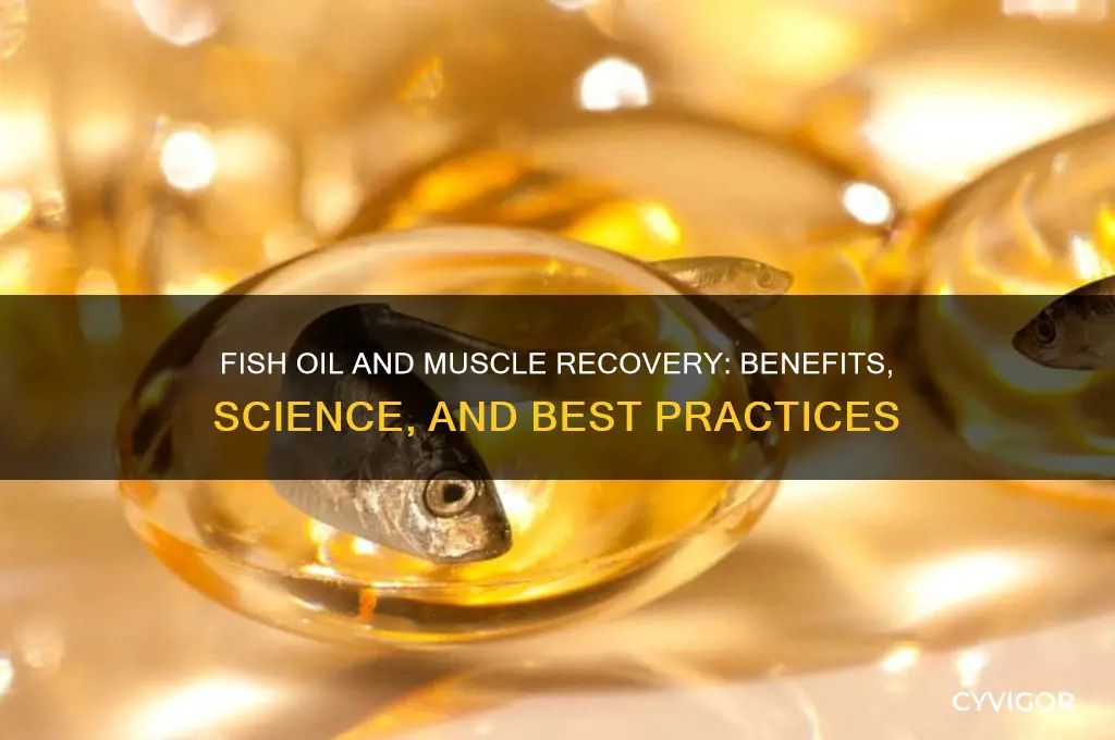 is fish oil good for muscle recovery