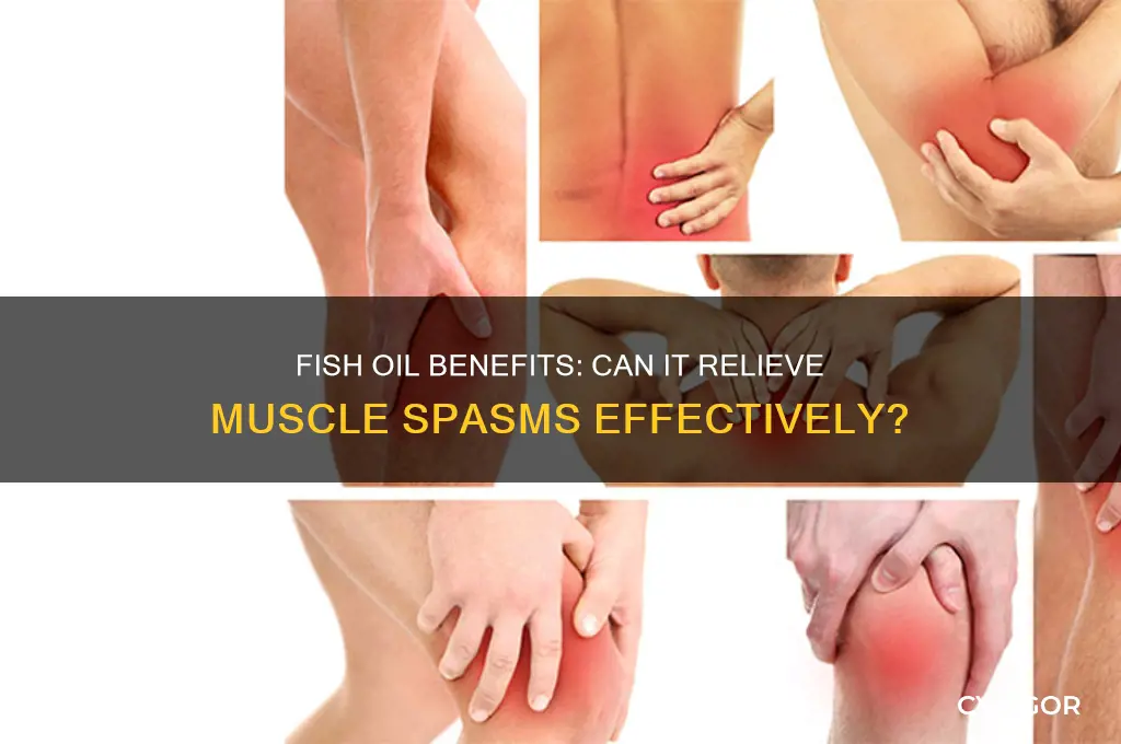 is fish oil good for muscle spasms