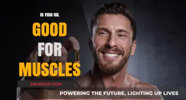 Fish Oil Benefits: Boosting Muscle Growth, Recovery, and Strength Naturally