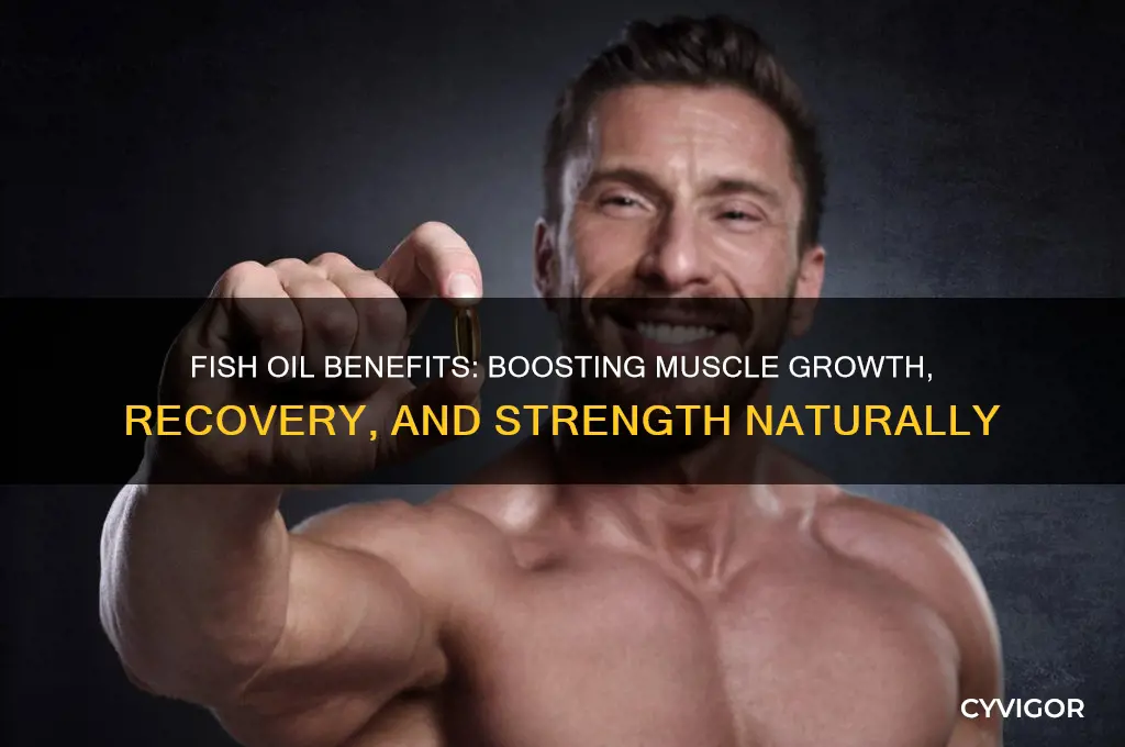 is fish oil good for muscles