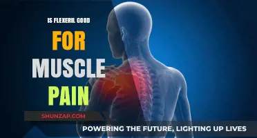 Is Flexeril Effective for Muscle Pain? Benefits and Considerations