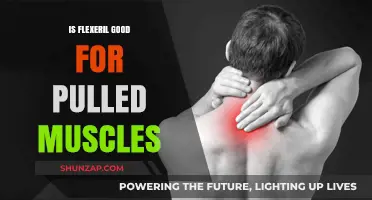 Flexeril for Pulled Muscles: Benefits, Risks, and Effectiveness Explained