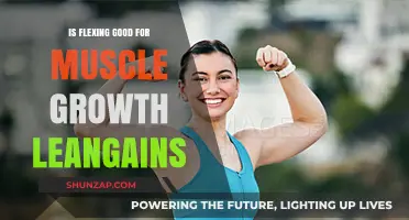 Flexing for Muscle Growth: Leangains Benefits and Techniques Explained