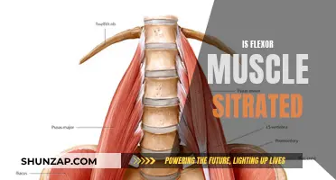 Flexor Muscle Injuries: What You Need to Know