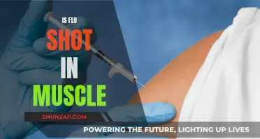 Flu Shot Intramuscular: Is It Safe?