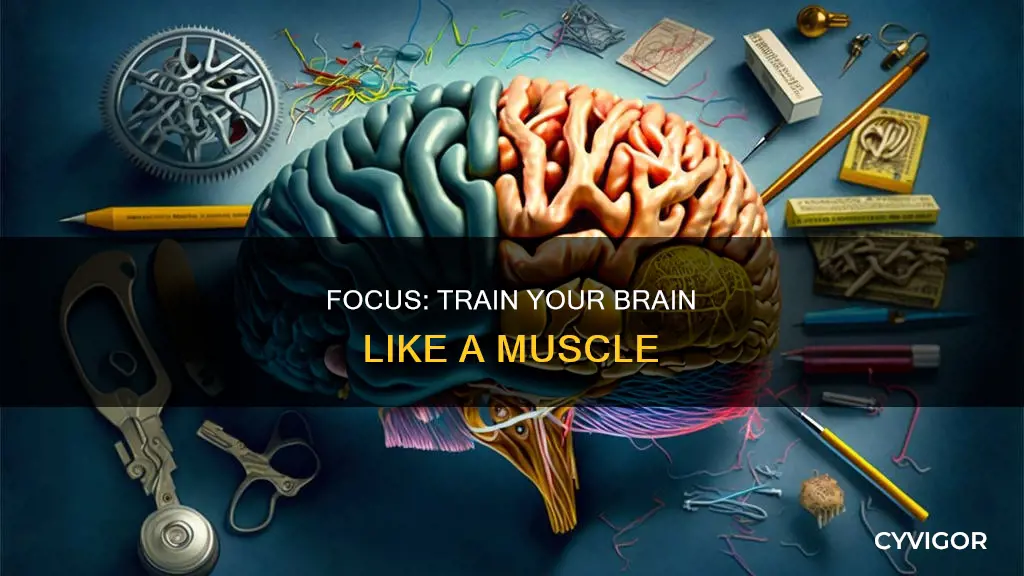 is focus a muscle