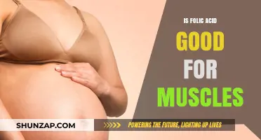 Folic Acid Benefits: Strengthening Muscles and Supporting Recovery