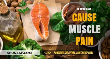Food Sensitivities: Uncovering the Cause of Your Muscle Pain