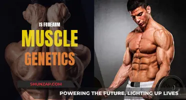 Forearm Muscle Genetics: Nature's Gift or Limitation?