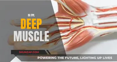 FPL: Deep Muscle Stimulation for Pain Relief