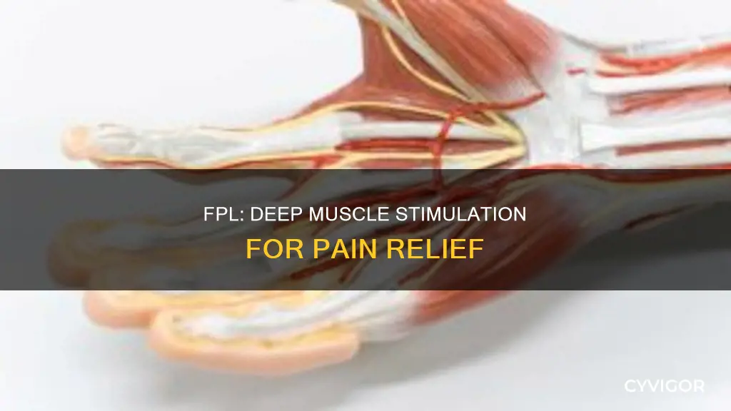 is fpl deep muscle