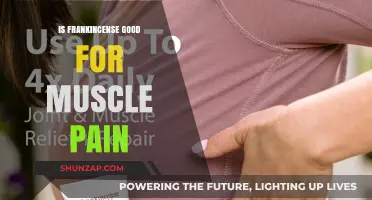 Frankincense for Muscle Pain: Natural Relief or Myth?