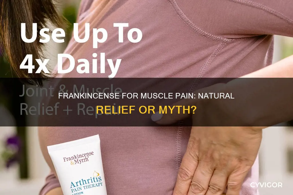 is frankincense good for muscle pain